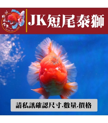 jk短尾泰獅1-2網站_34018813