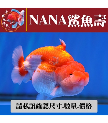 nana鯊魚壽1-2網站