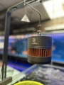 馬印筒燈60w