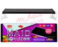 191005232600362019